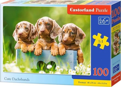 Attēls no Castorland Puzzle 100 Sodkie jamniki CASTOR