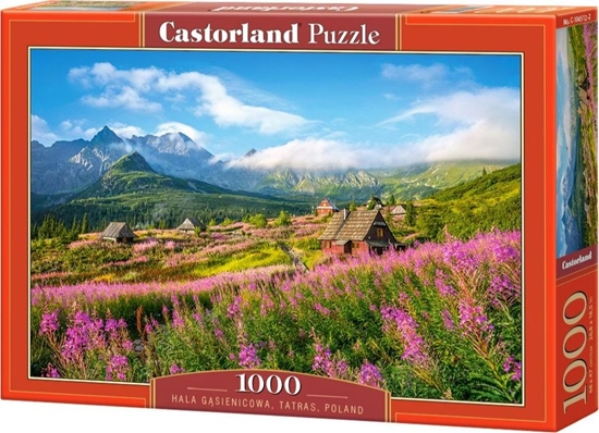 Picture of Castorland Puzzle 1000 elementów - Hala Gsienicowa, Tarty, Polska