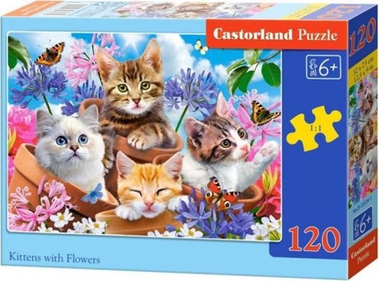 Picture of Castorland Puzzle 120 Kittens with Flowers CASTOR
