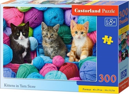 Attēls no Castorland Puzzle 300 Kittens in Yarn Store CASTOR