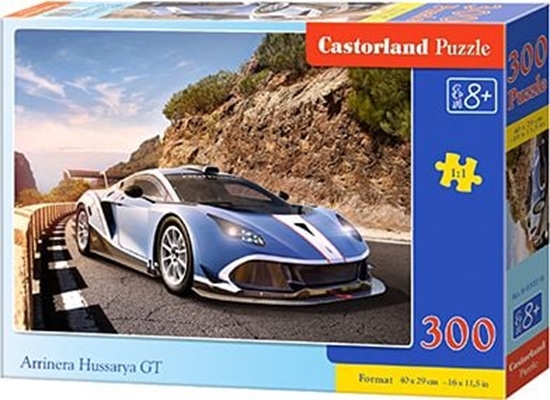 Picture of Castorland Puzzle Arrinera Hussarya GT 300 elementów