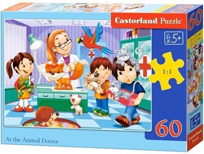 Attēls no Castorland Puzzle Wizyta u weterynarza 60 elementów (06847)