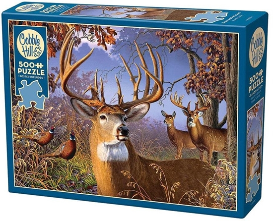 Picture of Cobble Hill Puzzle 500 Dumny jele G3