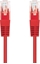 Attēls no C-Tech C-TECH kabel patchcord Cat5e, UTP, ervená, 1m