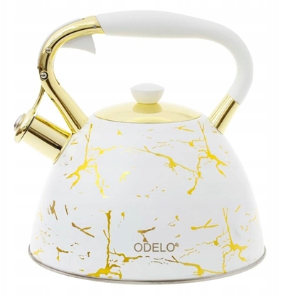 Picture of CZAJNIK NIEELEKTRYCZNY OD 2283 BIAY ZOTY 3 L