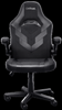 Picture of Datorkrēsls Trust GXT 703 RIYE Black