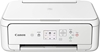 Picture of Daudzfunkciju printeris Canon Pixma TS5151 White 