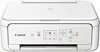 Picture of Daudzfunkciju printeris Canon Pixma TS5151 White 