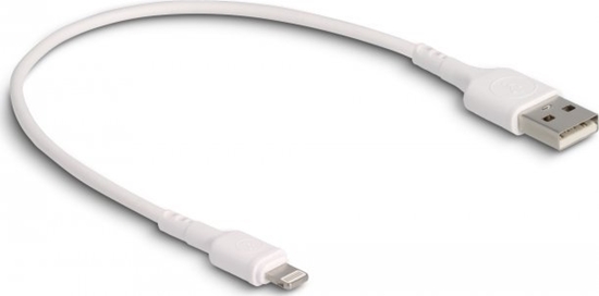 Picture of Delock USB Charging Cable for iPhone™, iPad™, iPod™ white 30 cm