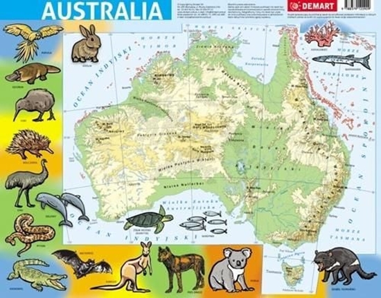 Изображение Demart Puzzle ramkowe - Australia fizyczna