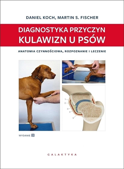 Изображение Diagnostyka przyczyn kulawizn u psów w.2 EDUKAMP