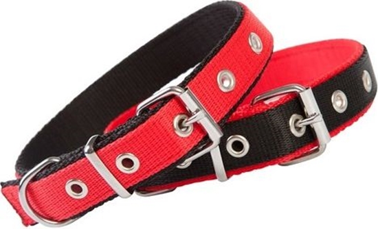 Изображение Dingo obroa z tamy polipropylenowej podwójnie zszywanej, szer. 2,5 cm d. 55 cm czerwono-czarna