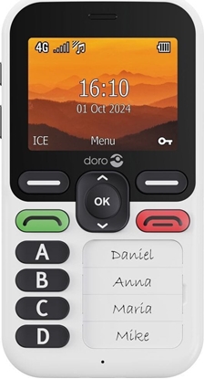 Picture of Doro Leva X10