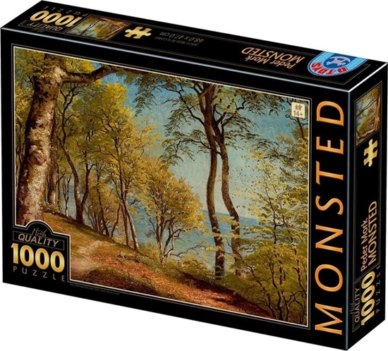 Picture of D-Toys Puzzle 1000 Peder Mork Monsted, Brzozy na wybrzeu