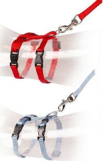 Picture of Duvo+ DUVO+ Szelki dla kocit czerwone/niebieskie 15-25cm / 8mm-125cm