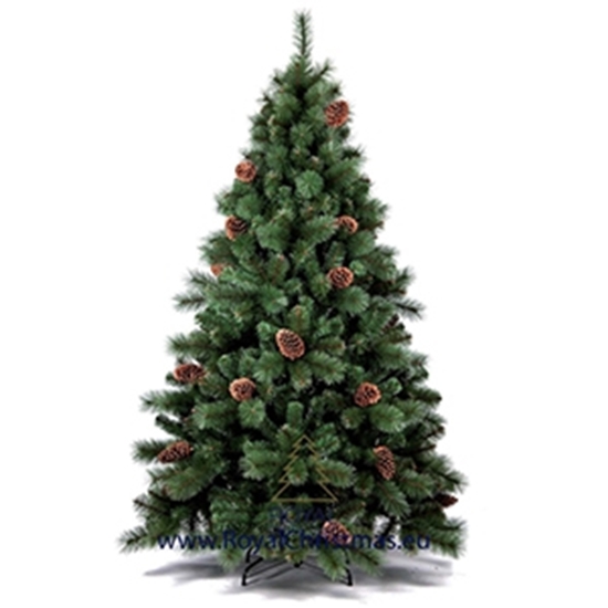 Picture of Egle Colorado Premium 180cm d107cm