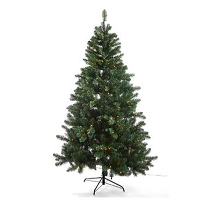 Picture of Egle Dakota Reduced 210cm d150cm 250LED Smart Adapter