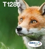 Picture of Epson Fox Multipack 4-colours T128 EasyMail