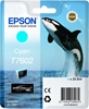 Picture of Epson ink cartridge cyan T 7602