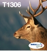 Picture of Epson Stag Multipack 3-colours T1306 DURABrite Ultra Ink EasyMail