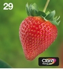 Picture of Epson Strawberry Multipack 4-colours 29 EasyMail