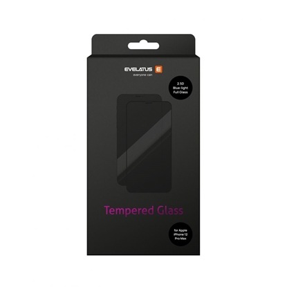 Picture of Evelatus Apple Apple iPhone 12 Pro Max 6.7' Matte 2.5D Silk Cover Japan Glue Glass Anti-Static