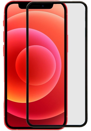 Picture of Evelatus Apple iPhone 12/12 PRO 6.1 2.5D Full Cover Japan Glue Glass Anti-Static