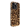 Picture of Evelatus Apple iPhone 15 Pro PC Customized Print Design Leopard