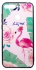 Изображение Evelatus Huawei Y6 2018 Picture Glass Case Flamingo Party