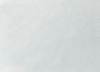Picture of Evelatus Universal Tablet Universal High Quality Leather Skin Film for Cutter White