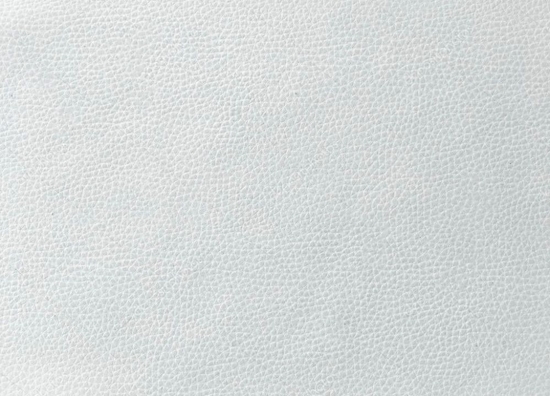 Picture of Evelatus Universal Tablet Universal High Quality Leather Skin Film for Cutter White