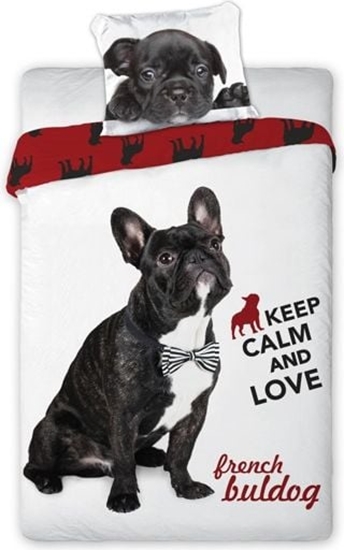 Picture of Faro Pociel FAO0224 biaa 140x200 cm + poduszka 70x90 cm