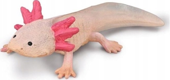 Picture of Figurka Collecta COLLECTA AKSOLOTL