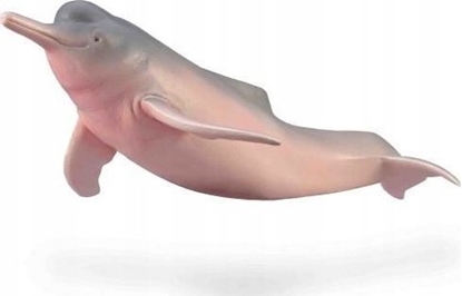 Attēls no Figurka Collecta COLLECTA INIA AMAZOSKA