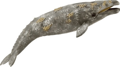 Изображение Figurka Collecta GRAY WHALE
