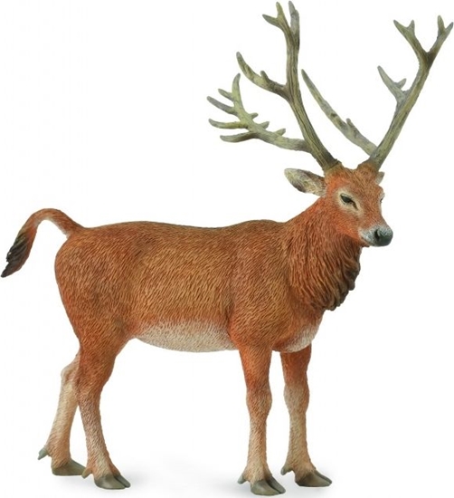 Изображение Figurka Collecta Jele Pere David's (004-88829)