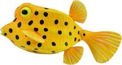 Изображение Figurka Collecta Kostera gruzekowata