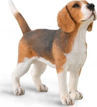 Изображение Figurka Collecta Pies beagle