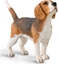 Изображение Figurka Collecta Pies beagle