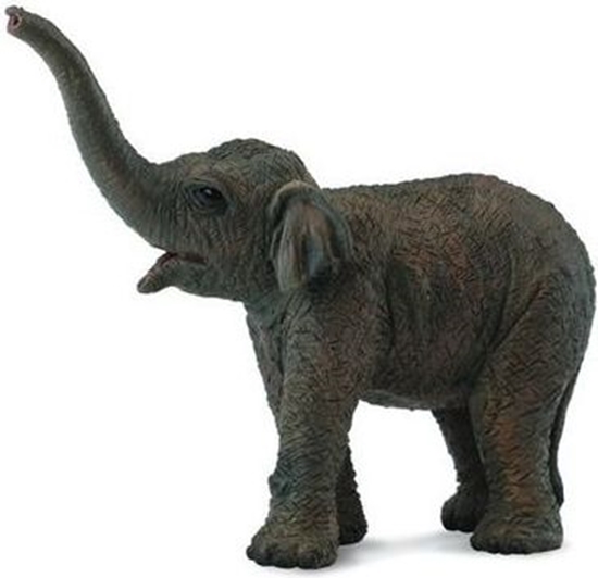 Picture of Figurka Collecta Sonitko azjatyckie (004-88487)