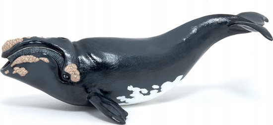 Picture of Figurka Hasbro Wale