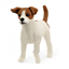 Attēls no Figurka Schleich Figurka Jack Russell Terrier