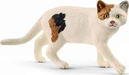 Attēls no Figurka Schleich Kot amerykaski krótkowosy