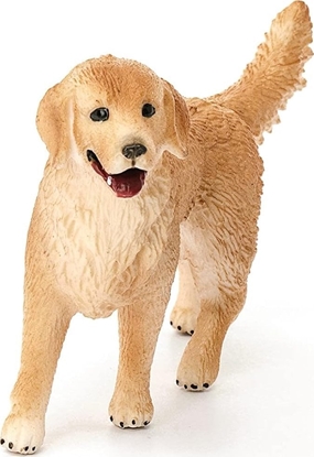 Изображение Figurka Schleich SLH golden retriever suczka 14 16395 11994