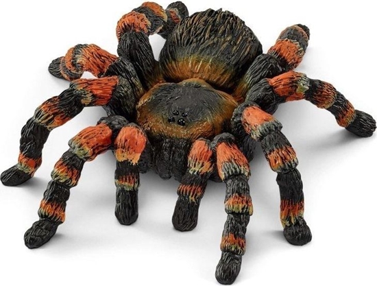 Изображение Figurka Schleich Wild Life Tarantula