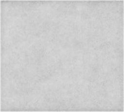 Picture of FILTR WLOTOWY Zelmer 3000.0019 Magnat