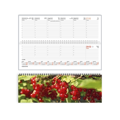 Изображение Galda plānotājs 2026.gadam EKO CREDO Vasara, no apdrukāta kartona, 300x100 mm