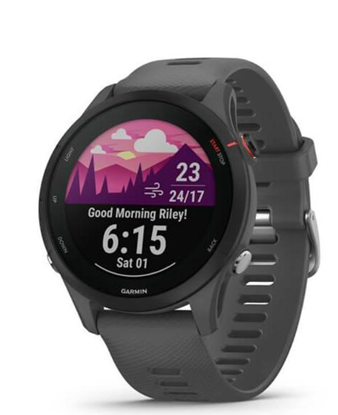Attēls no Garmin Forerunner 255 schist/black