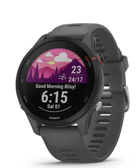 Picture of Garmin Forerunner 255 schist/black