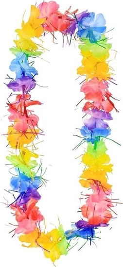 Picture of GoDan Dodatki do strojów karnawaowychhawajski, kolorowy z frdzelkami